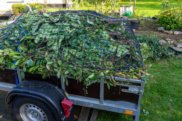 Best Carpet Removal and Disposal  in Clark, SD